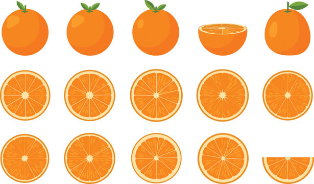 Orange fruit whole and sliced set. Fresh citrus collection with cross sections and half slice. Flat vector illustration isolated.