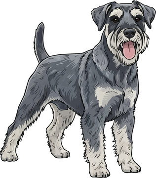 Standard Schnauzer Dog standing happy panting smiling pose