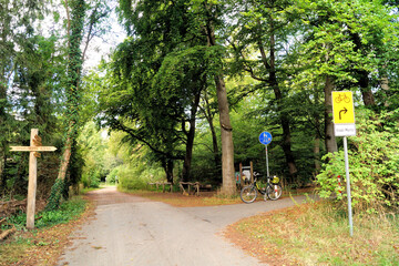 Wegegabelung im Wald
