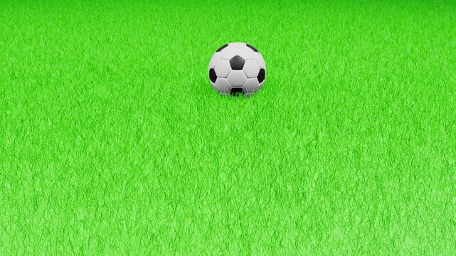 A green grass field features a soccer ball moving from back to front and stopping in the foreground, illustrating the ball's movement across the vibrant grass surface, emphasizing the of the game