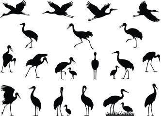 Vector, Illustration, Set, of, Stork, Crane, and, Heron, Bird, Silhouettes, for, Wildlife, Nature, Conservation, Identity, Branding, Professional, Graphic, Design, Projects, Collection, Elements