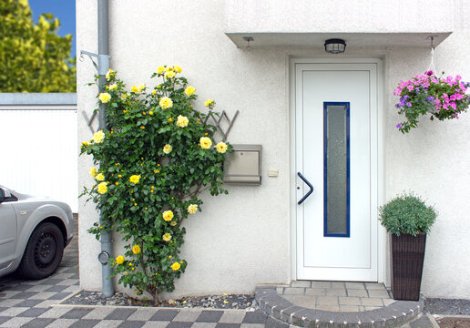 Hauseingang mit Kletterose und Blumenampel