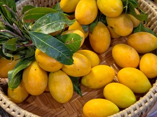 A Cluster of Ripe, Yellow Marian Plums (Mayongchid) with Green Leaves Arranged in a Woven Bamboo Basket.