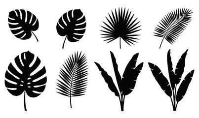 Tropical Leaves Silhouette Set – Monstera, Palm and Banana Leaf Vector Collection © Irzal Budiman
