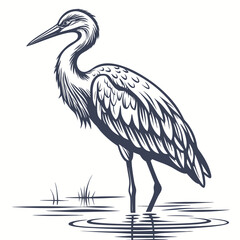 Fototapeta premium Heron standing in water with ripples and grass bird