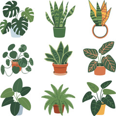 Hand Drawn House Plants Top View Vector Set with Monstera, Philodendron, Snake Plant, Fern, and Succulents © NUR