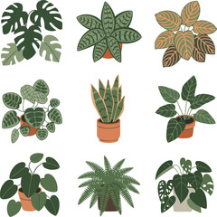 Hand Drawn House Plants Top View Vector Set with Monstera, Philodendron, Snake Plant, Fern, and Succulents © NUR