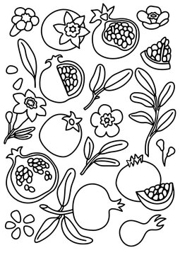 A collection of hand-drawn pomegranate fruits and flowers. The design features various stages of pomegranates, leaves, and blossoms in a decorative arrangement. granate doodle.