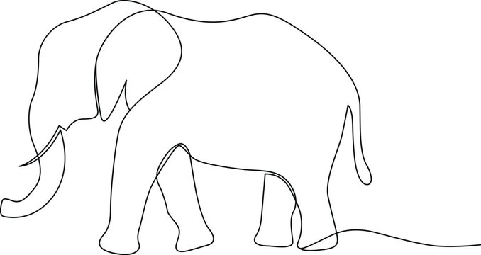 A simple line drawing of an elephant standing on all fours with a long tail Vector