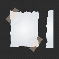 Realistic Torn White Paper Texture with Ripped Edges on Transparent Background