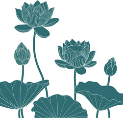 Teal lotus flowers and leaves on white background 1
