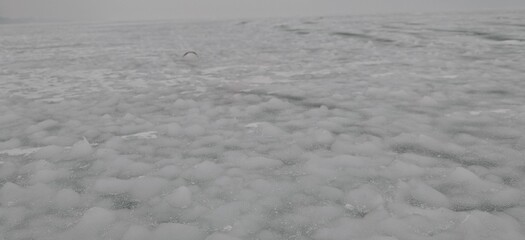Balaton, Lake Balaton, Hungary © Anett