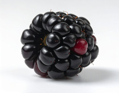 Brombeere