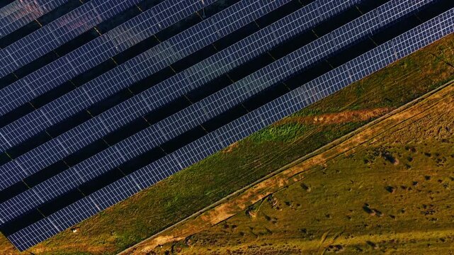 Top down aerial shot of solar panels and field. Vertical high angle view of parallel solar panel rows bordering a green and brown grassy meadow.