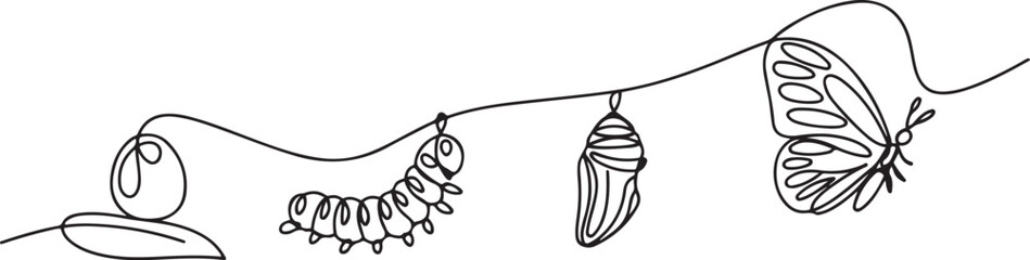 Continuous one line drawing of butterfly life cycle. One line drawing illustration of butterfly metamorphosis. one line Art icon drawing vector © jinnatun