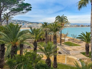 Relaxing bayfront promenade shaded by tropical palms. Tranquil waterfront avenue lined with lush coconut trees and benches
