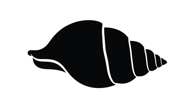 Black silhouette of a seashell on a white background