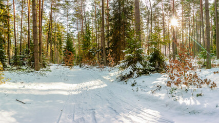 Zima na Mazurach. © Janusz Lipiński