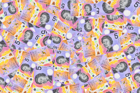 5 Dollars Australia with a portrait of Queen Elizabeth II and Banksia flowers. Polymer money. Money of Australia.