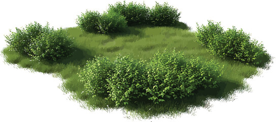 Green Grass Patch with Bushes Isolated on White Background © Yasmeen 