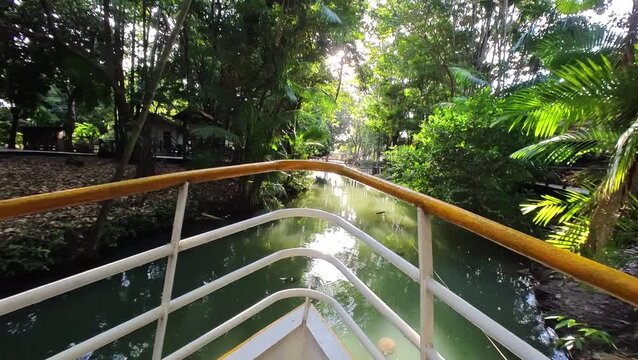 Barco ancorado na floresta