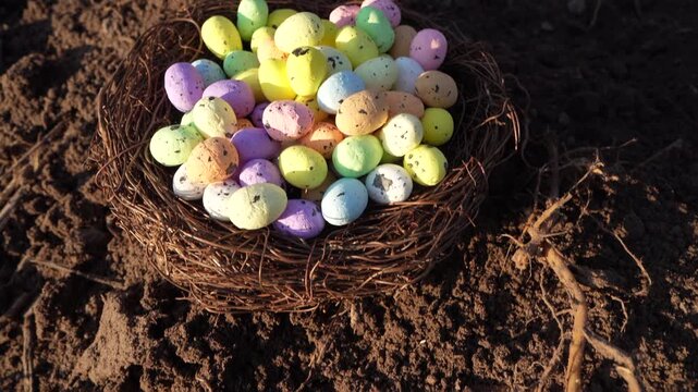 Multi-colored Easter eggs in bird's nest on ground. Straw, twig bird nest with egg. Easter Christian holiday, celebrates belief in resurrection of Jesus Christ. Quail colored eggs on sunset.
