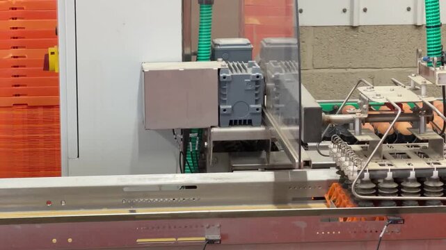 Side angle view of an industrial robotic arm using suction to lift and pack rows of brown eggs into orange plastic trays