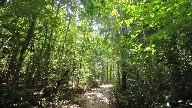 Bioparque da Amaz&ocirc;nia