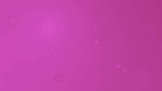 simple plain pink background with floating bubble gum pop bubbles gently floating subtly around with a basic light flare lighting effect 4K wallpaper animated background animation backdrop
