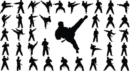 Obraz premium Martial arts practitioners demonstrate various.
