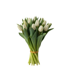 Obraz premium Bunch of White Tulips with Green Stems flowers bouquet isolated on a transparent background