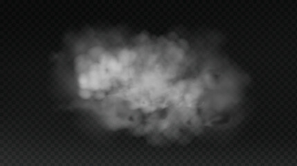 Obraz premium White smoke cloud with overlay effect on dark background. Realistic fog texture spreading along the floor. Atmospheric illustration of misty vapor or haze with dramatic light effect.