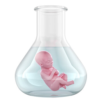 Test tube baby, concept with human embryo in laboratory flask. 3D rendering