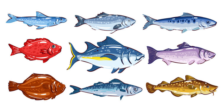 Luxury seafood fish set with tuna, salmon, cod, mackerel, trout, sardine, flatfish. Mediterranean seafood food, healthy diet protein products. Cartoon vector illustration