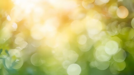 Fototapeta premium Dreamy defocused nature background with soft yellow-green bokeh circles and warm sunlight glow. Versatile blurred backdrop perfect for text overlay, product presentation, seasonal design projects.