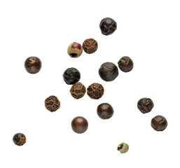 Obraz premium Various brown peppercorns scattered spices black seeds isolated on a transparent background