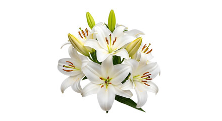 White lilies bouquet isolated on white background