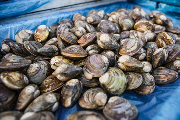 Asian market with fresh seafood