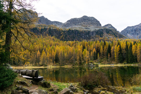 San Pellegrino lake next to the San Pellegrino pass a high mountain pass in the Italian Dolomites in autumn. South Tyrol, Italian Alps