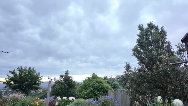 Timelapse of cloudy sky over plants and flowers with weather station indicating windy conditions, showcasing changing weather and nature dynamics.
