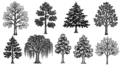 Fototapeta premium Vintage hand drawn tree engraving collection vector set