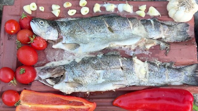 Cooking natural trout over a campfire on a tile