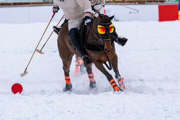 Detail in a snow polo competition