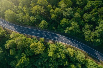 Aerial view of a winding road cutting through a dense green forest