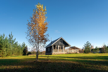 A beautiful rural house featuring a cozy wooden terrace, surrounded by lush green grass and a serene forest. This inviting scene evokes relaxation, freedom, and tranquility of nature.