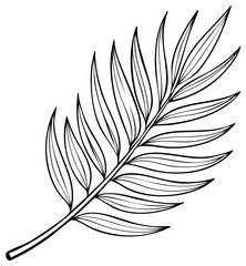 Obraz premium Single palm leaf illustration, simple botanical outline, monochrome foliage element, nature themed vector graphic isolated
