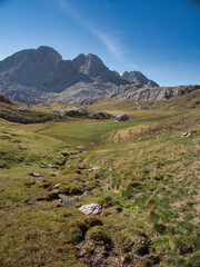 Fototapeta premium Majestic Picos de Europa Mountain Landscape - Wide, sunny view of rugged limestone peaks towering over a lush, high-altitude green meadow and valley.