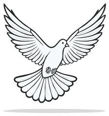 Fototapeta premium Dove with Wings Spread, Flying Bird, Peace Symbol