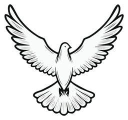 Obraz premium Stylized hand-drawn illustration of a white dove in flight with outstretched wings and detailed feathering