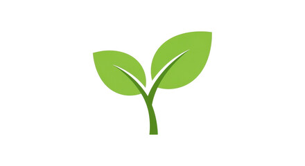 Obraz premium Green plant sprout with two leaves